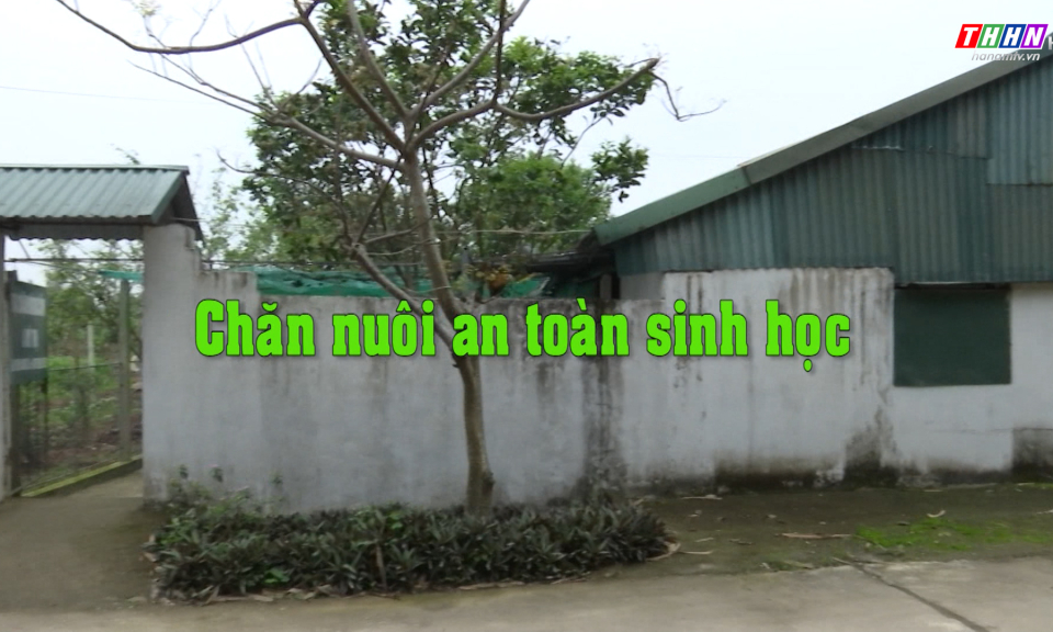 NTM: Chăn nuôi an toàn sinh học