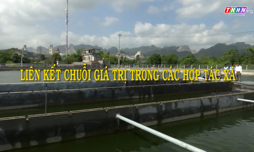 PS: Liên kết chuỗi giá trị trong các HTX