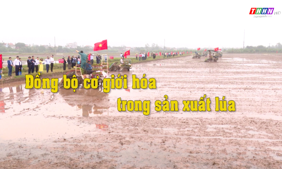 NTM: Đồng bộ cơ giới hóa trong sản xuất lúa