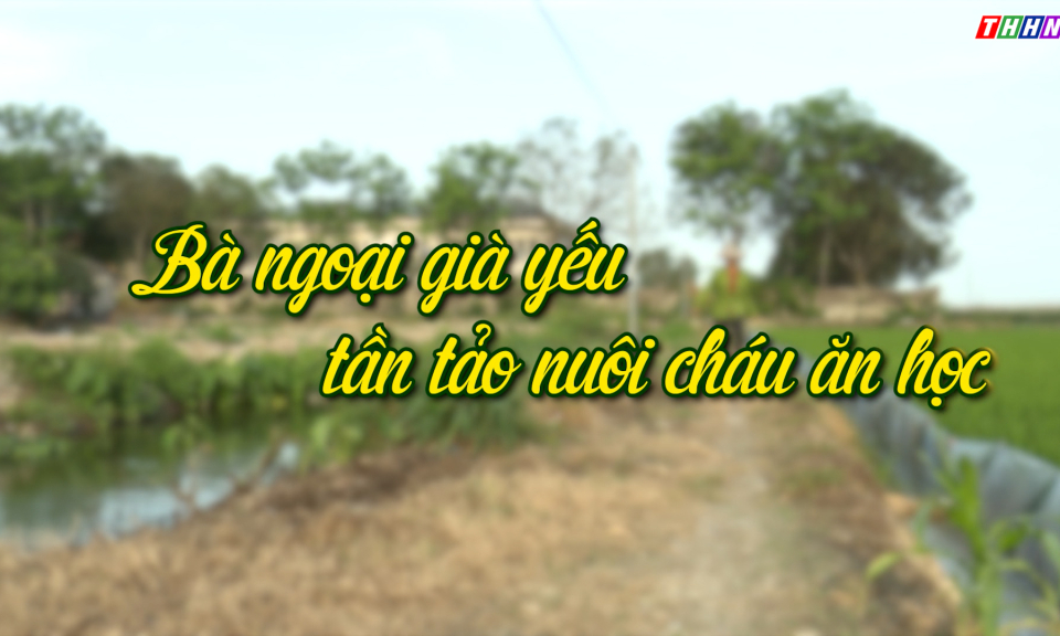 NRYT: Bà ngoại già yếu tần tảo nuôi cháu ăn học