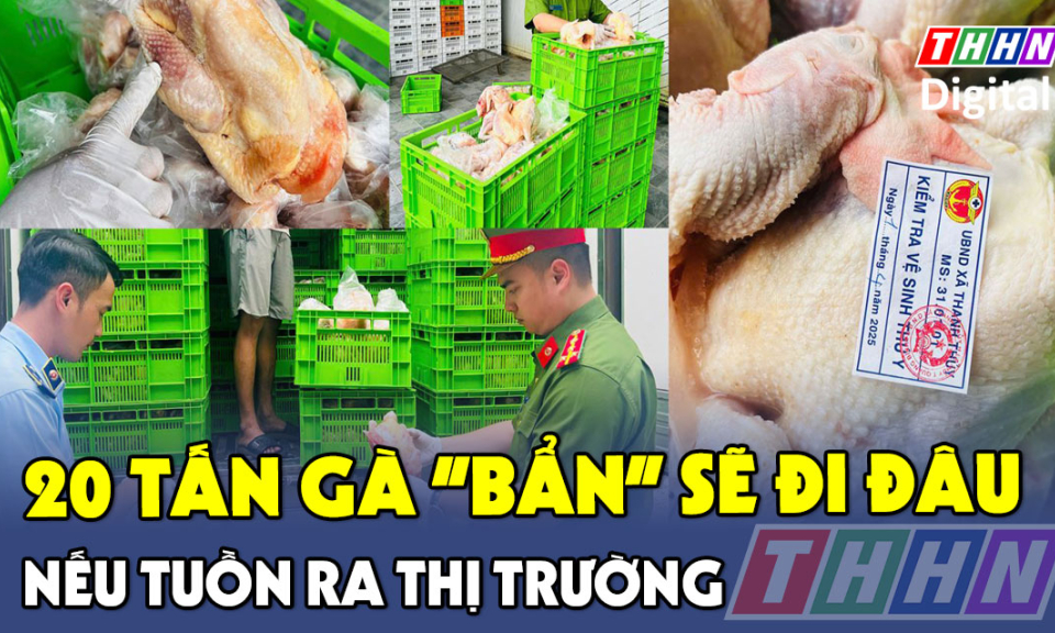 TTXH: 20 tấn gà "bẩn" sẽ đi đâu nếu tuồn ra thị trường?
