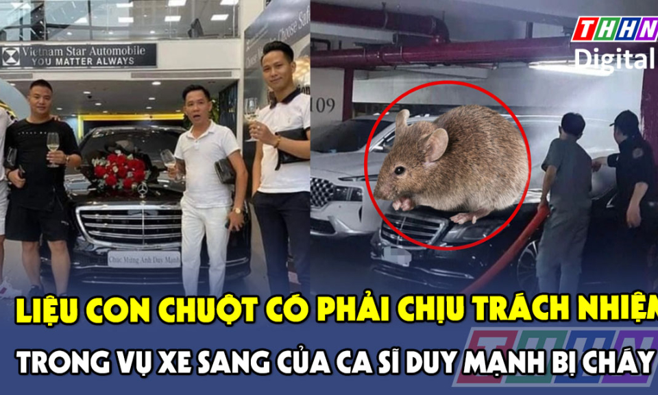 TTXH: Liệu con chuột có phải chịu trách nhiệm trong vụ xe sang của ca sĩ Duy Mạnh bị cháy?