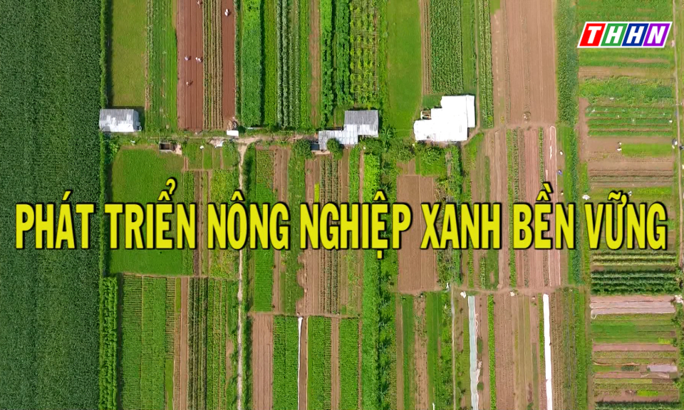 NTM: Phát triển Nông nghiệp xanh - bền vững