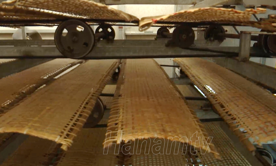 Ứng dụng công nghệ hiện đại trong sản xuất bánh đa nem