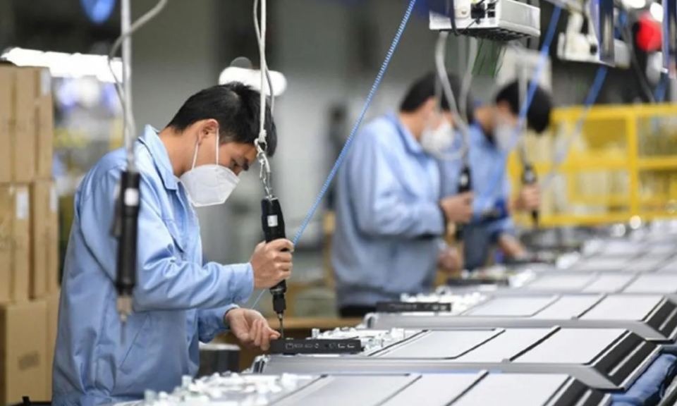 Công chức, viên chức không được thành lập, góp vốn và quản lý doanh nghiệp