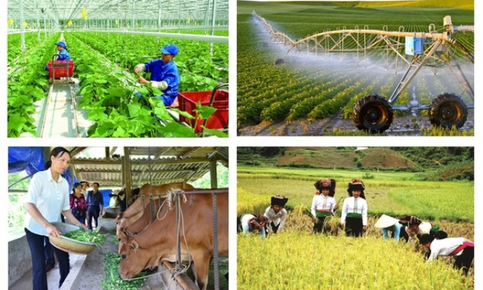 Từ 1/7, tổng điều tra nông thôn, nông nghiệp năm 2025